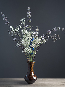 Image Vase1