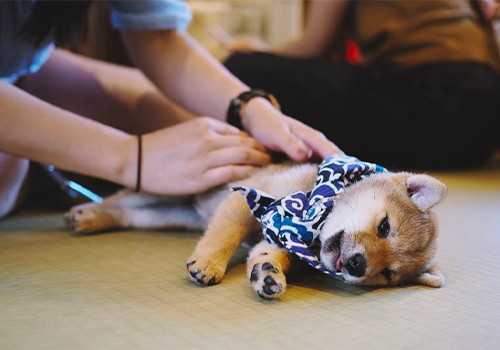 Photo dune carte routière avec un passport poser dessus, ainsi que d'qutre accessoires