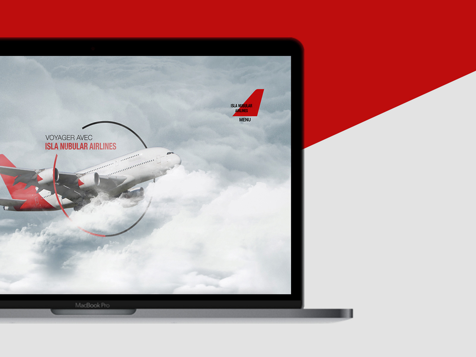 PHoto du site islanublar airlines